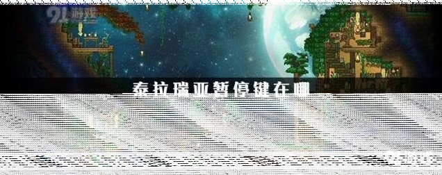 《泰拉瑞亚》暂停设置技巧教程