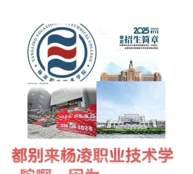 学院