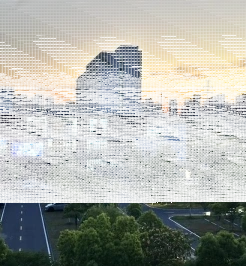 学院