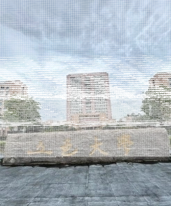 中心