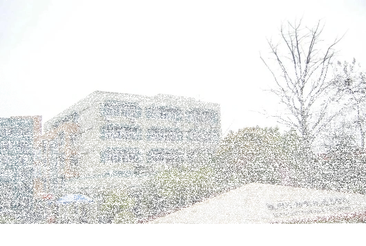 专业