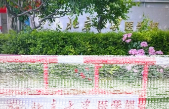 医学部