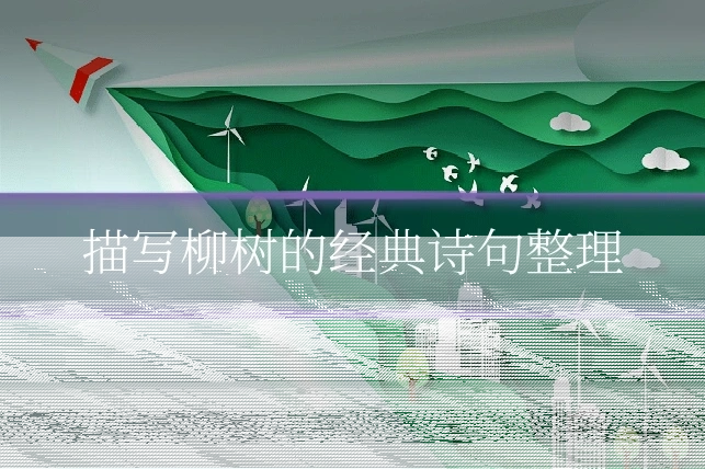 描写柳树的经典诗句整理
