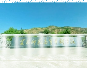 定西