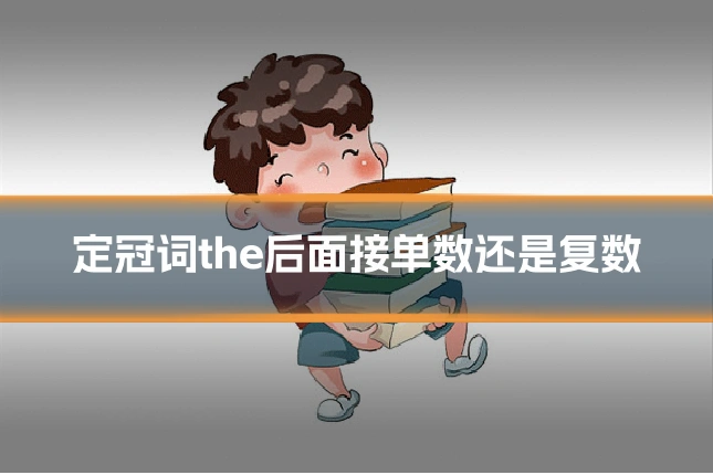定冠词the后面接单数还是复数