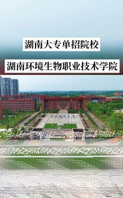 学院
