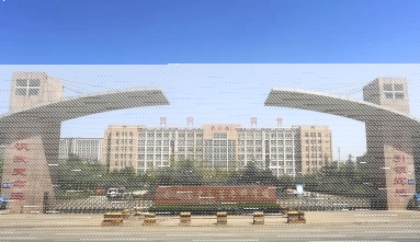 学校