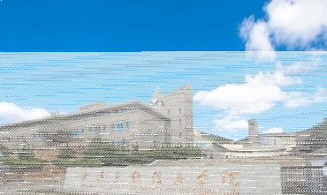 教学成果
