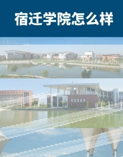 学校