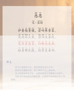感恩