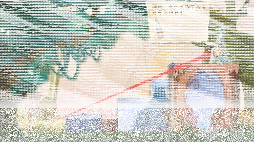 纸片少女攻略