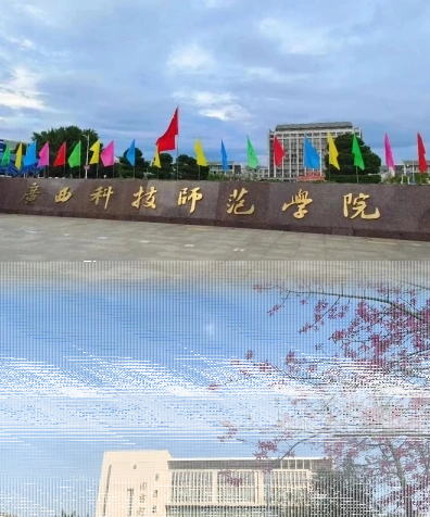 专任教师