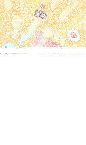 微信云游戏