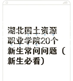 学校