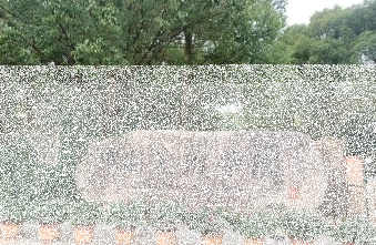 中国美术学院
