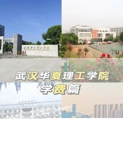 学校