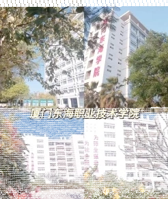 学院