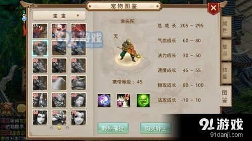 问道手游宠物升级技巧汇总
