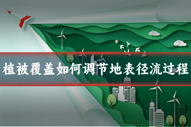 植被覆盖如何调节地表径流过程