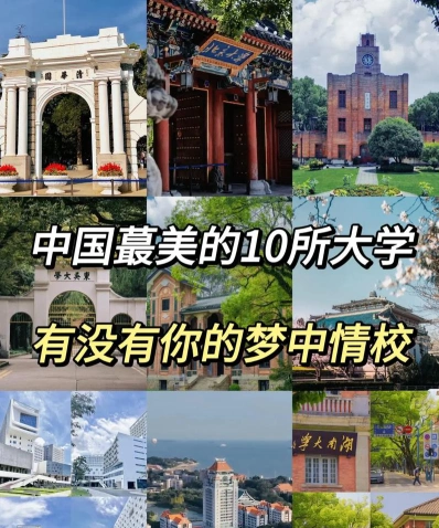 大学