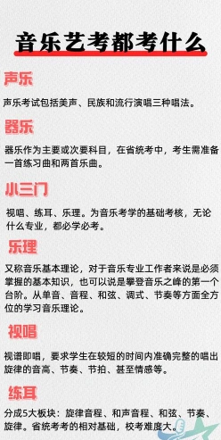 音乐艺考