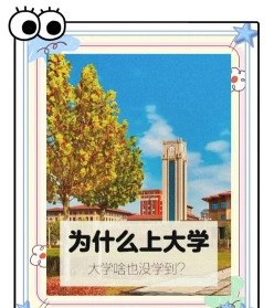 大学