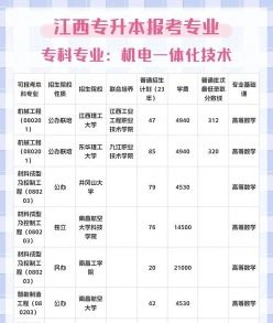 专业