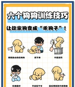 训练