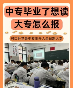 报考
