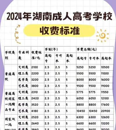 总费用