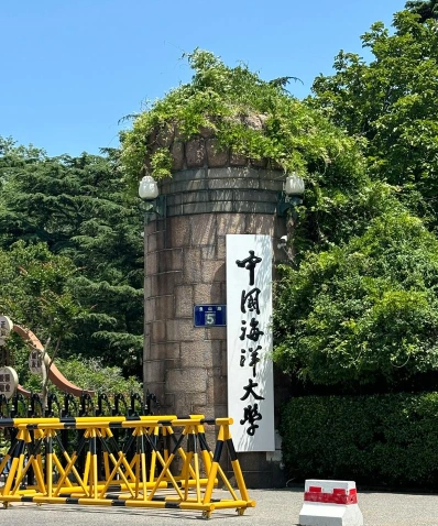 大学