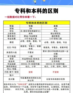 大专