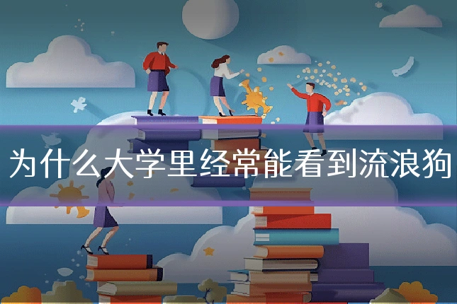 为什么大学里经常能看到流浪狗