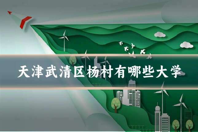 天津武清区杨村有哪些大学