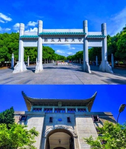 游客