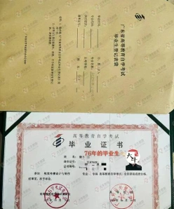 大专
