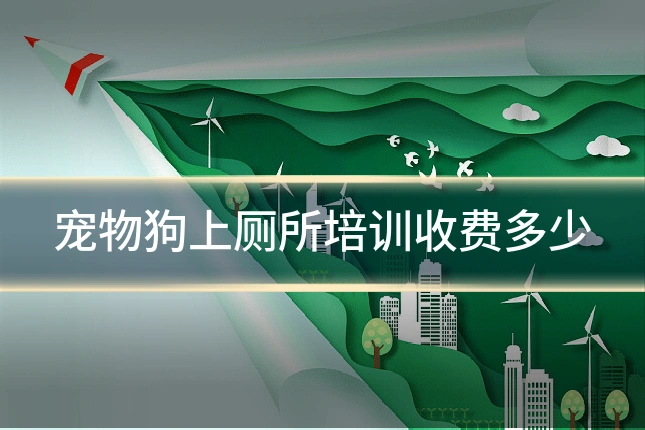 宠物狗上厕所培训收费多少