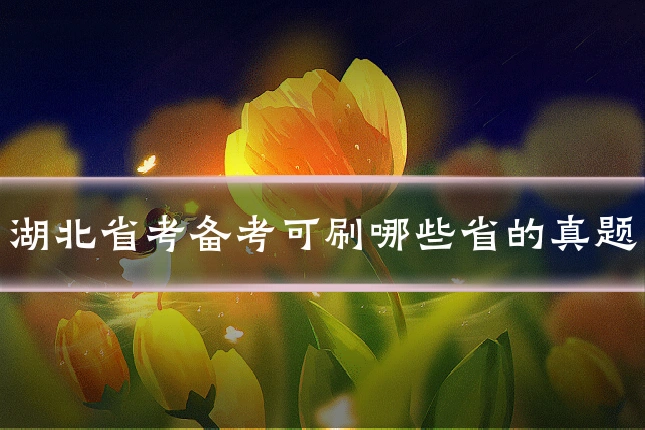 湖北省考备考可刷哪些省的真题