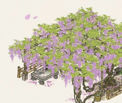 江南百景图紫藤花获取方法分享