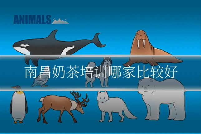 南昌奶茶培训哪家比较好