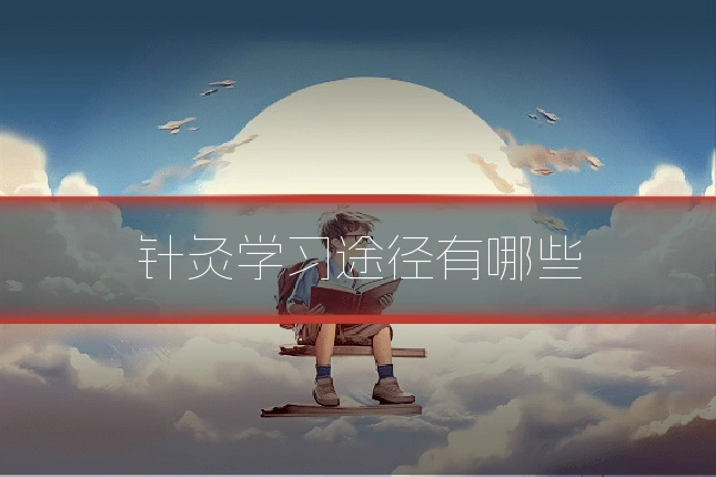 针灸学习途径有哪些