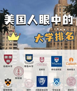 专业