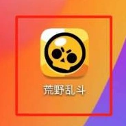 荒野乱斗怎么观战
