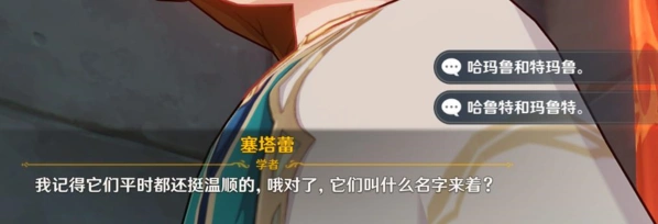 原神哈鲁特和玛鲁特选择指南