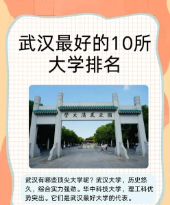 武汉学院