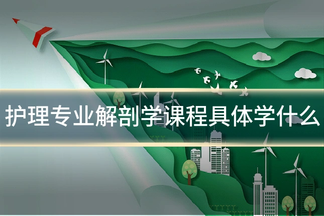 护理专业解剖学课程具体学什么