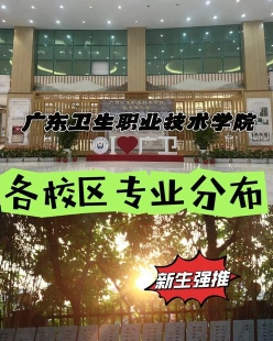 提供