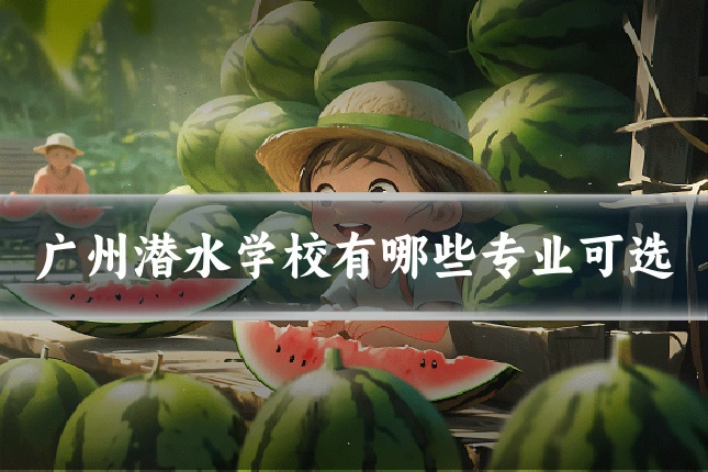 广州潜水学校有哪些专业可选