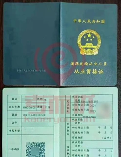 能力