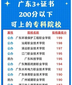 大专